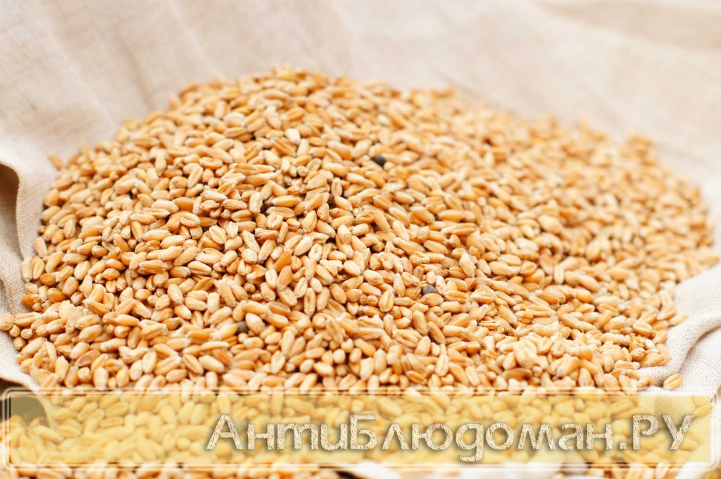 Пшеница. 100% ORGANIC